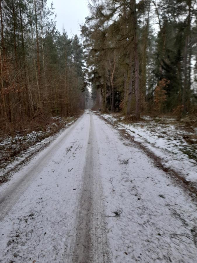 Spichlerz Leilighet Rydzewo Eksteriør bilde
