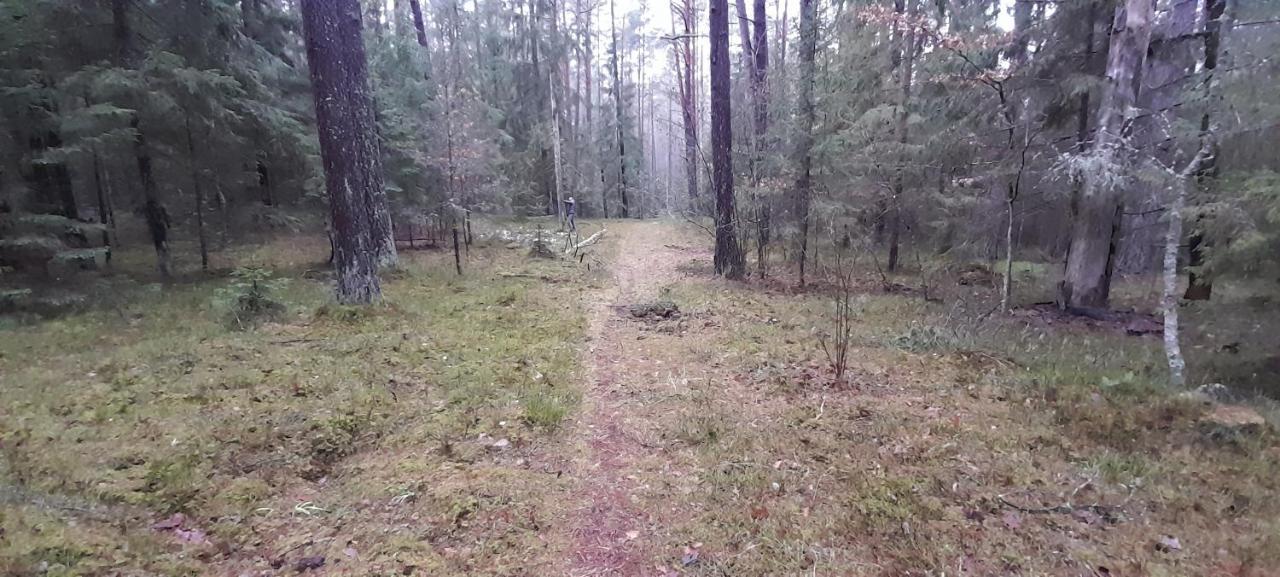 Spichlerz Leilighet Rydzewo Eksteriør bilde