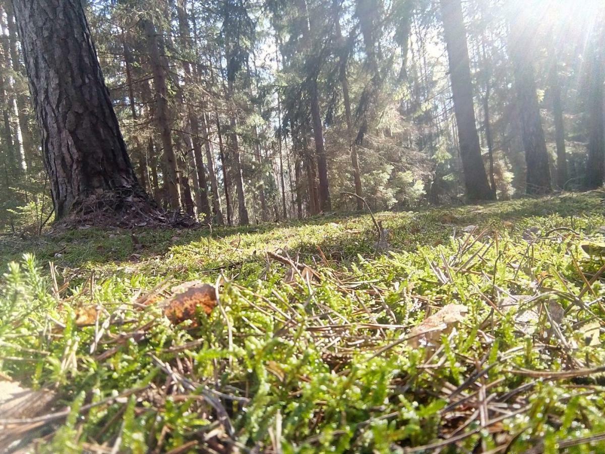 Spichlerz Leilighet Rydzewo Eksteriør bilde